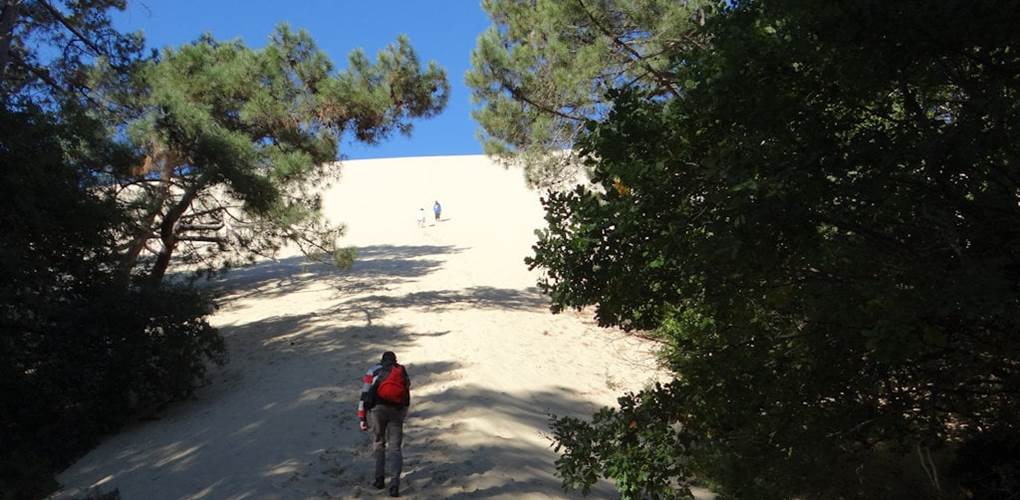 Dune du Pilât