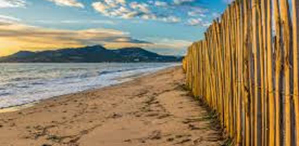 images (3)