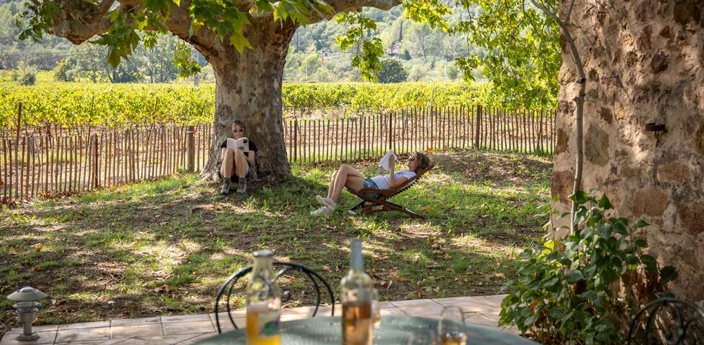 Domaine des Peirecedes-0258