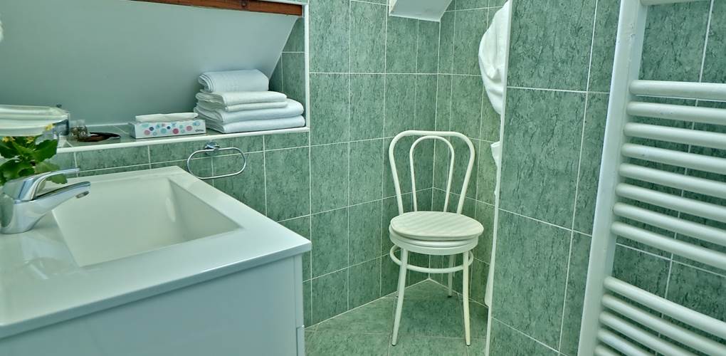 Salle de douche  Chambre double Confort Le Pas de L' Âne Saint Ondras