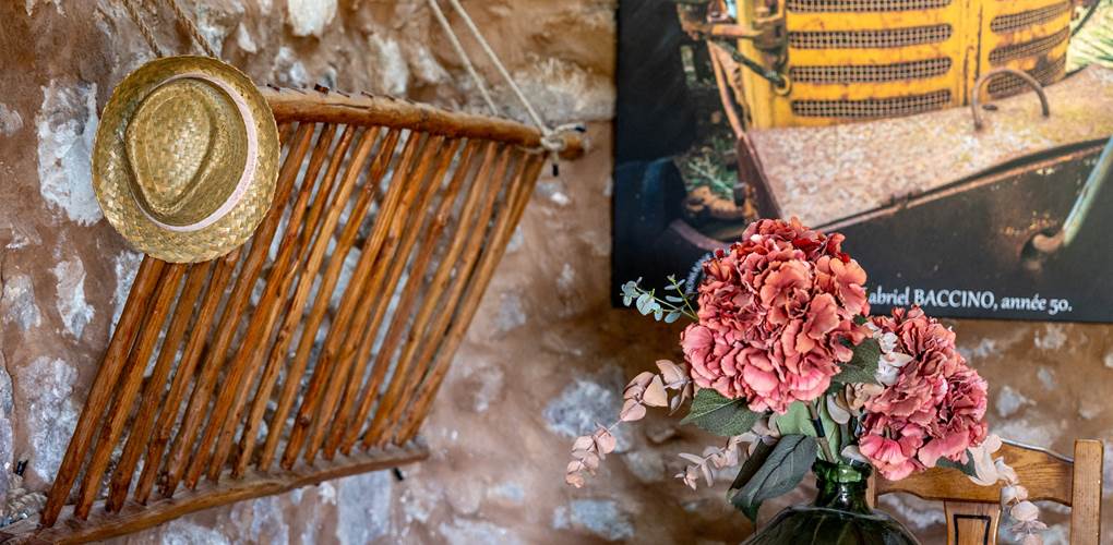 Domaine des Peirecedes-0146