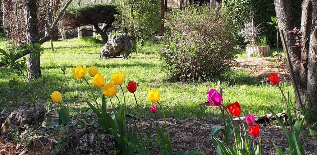 Jardin