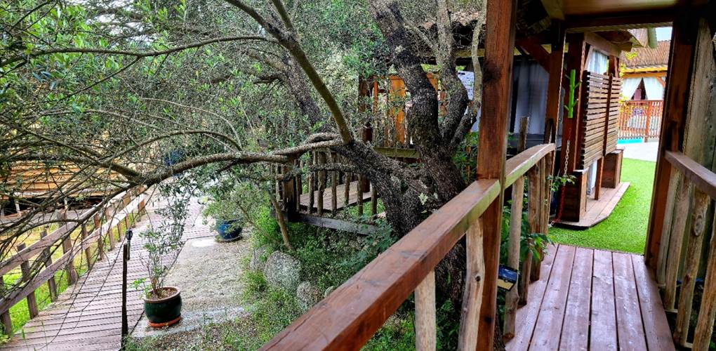 Une passerelle en bois pour accéder à la chambre