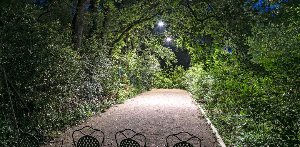 Partie de Boule en Nocturne