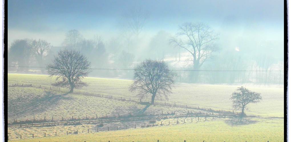 Paysage magnifique et vue campagnarde