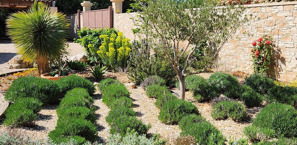 24 jardinet de lavandes