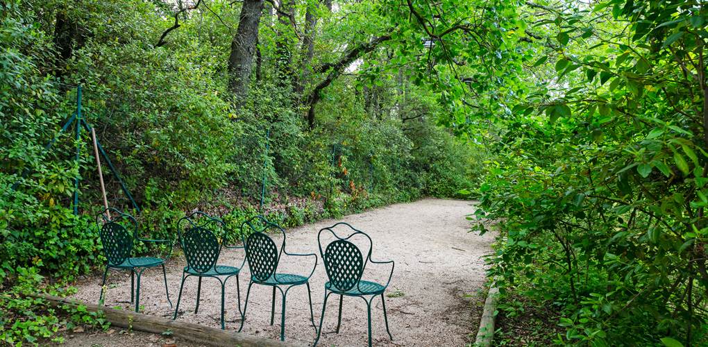 BOULODROME sous les chênes