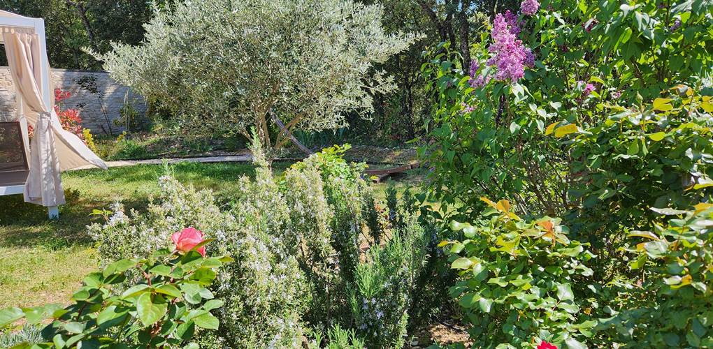 24 lilas et verdure