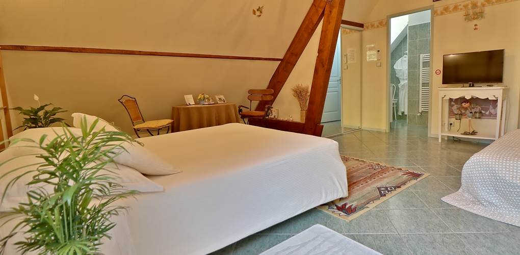 Chambre double Confort Le Pas de l' Âne Saint Ondras