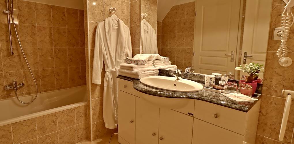 Salle de bain Chambre triple Confort Le Pas de l'Âne Saint Ondras