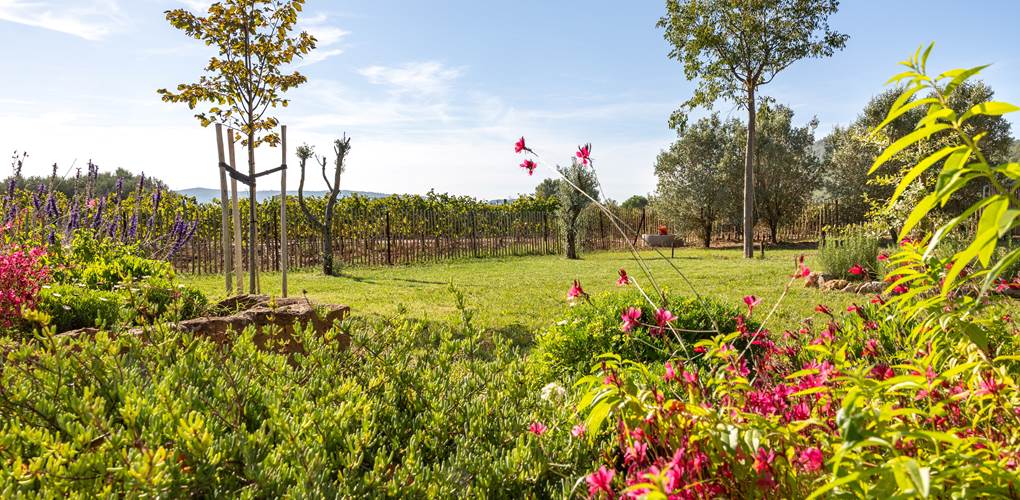 Domaine des Peirecedes-0139