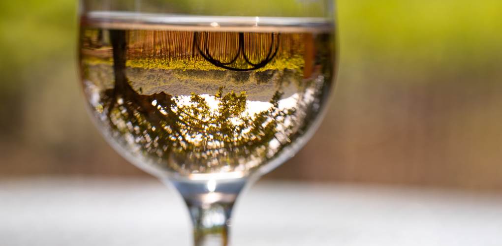 Domaine des Peirecedes-0274