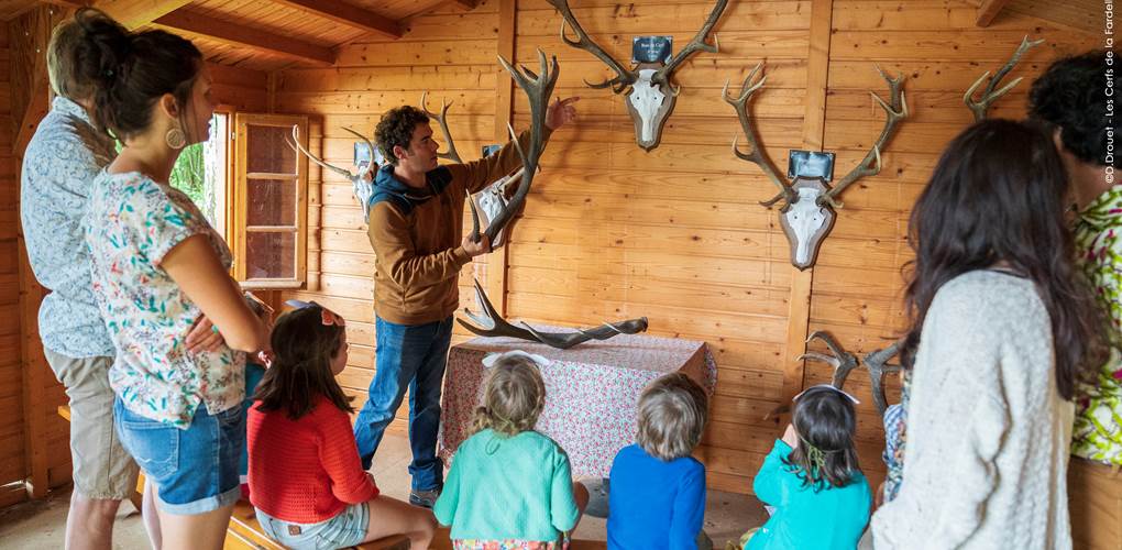 cabane aux trophés 2