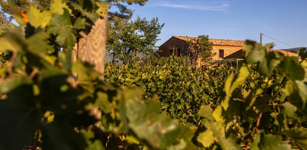 Domaine des Peirecedes-0095