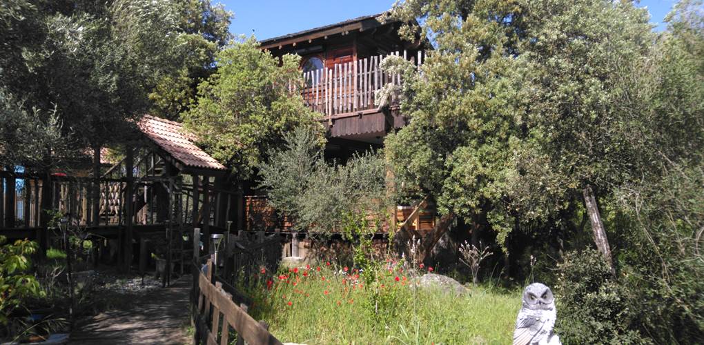 Notre cabane dans l'arbre