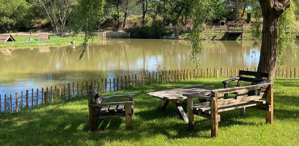 Ecolodge Charles Ashton salon jardin