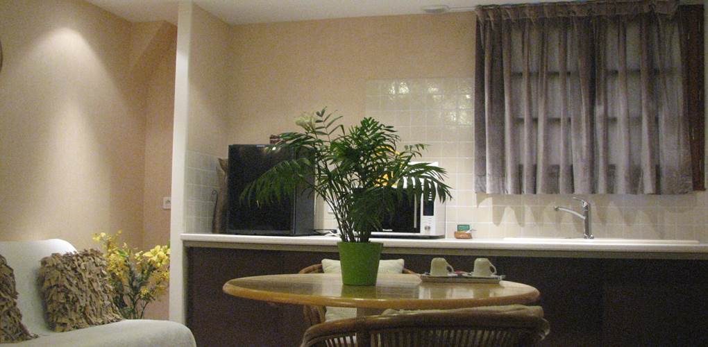 Kitchenette Chambre double Junior Le Pas de l( Âne Saint Ondras