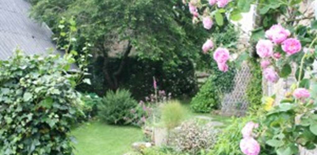 le jardin fleuri