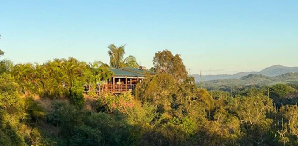 734ff971-1d5b-4714-b908-db4b404dd4a2 Medium