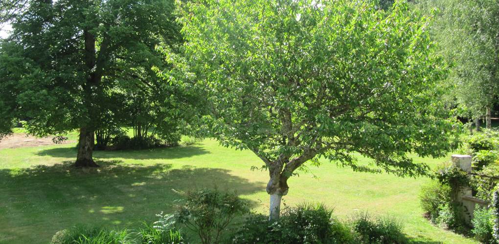 Vue jardin