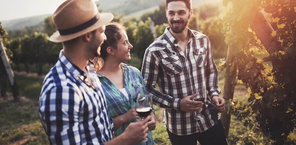 Chateau-Demo-Un-Vignoble-Unique-avec-notre-guide