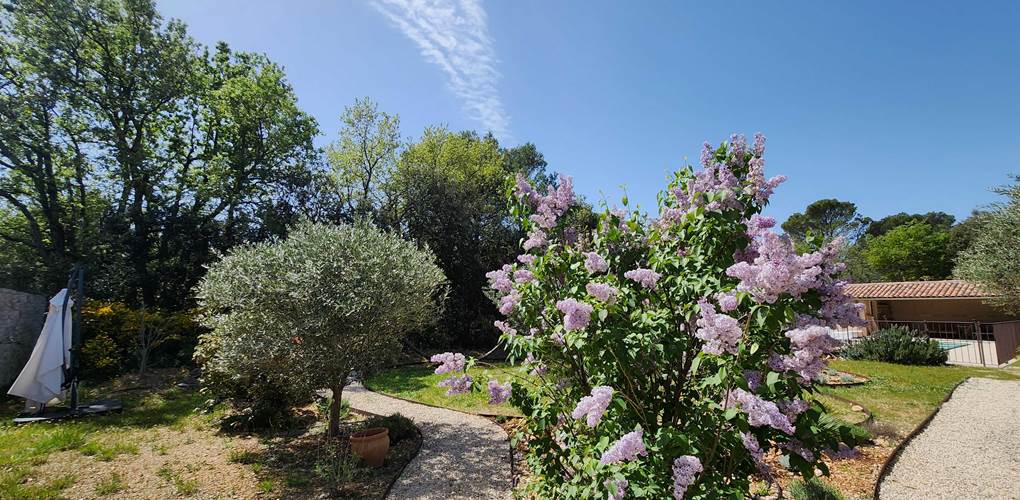 24 jardin gite 2