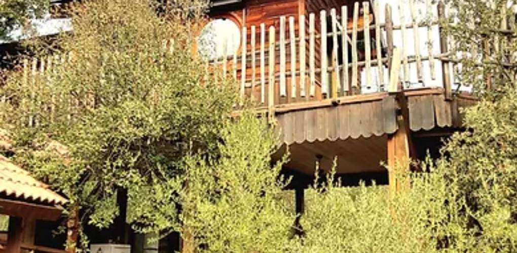 Notre cabane dans l'arbre