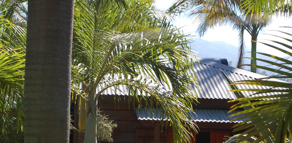 VUE DU BUNGALOW DEPUIS LE JARDIN