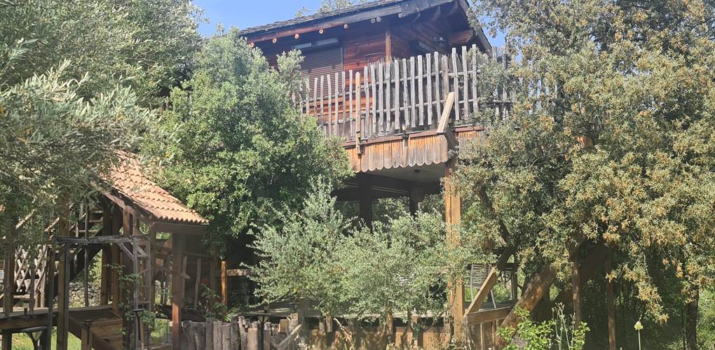 La chambre de la cabane dans l'arbre