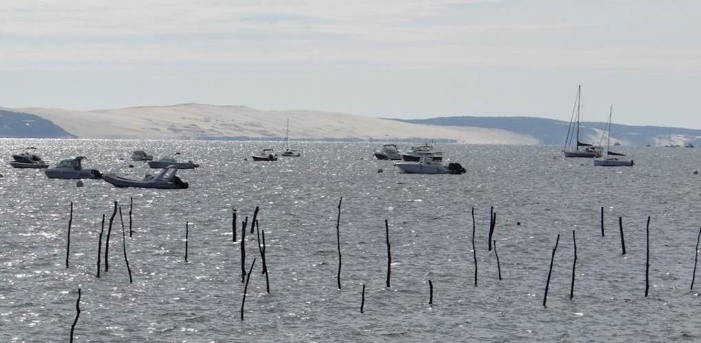 Bassin d'Arcachon