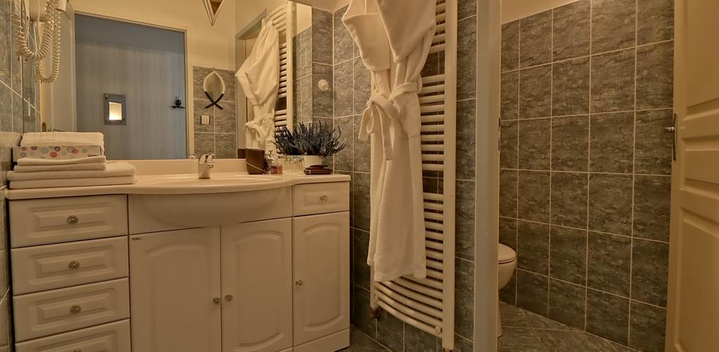 Salle de bain  Chambre double de Luxe Le Pas de l' Âne Saint Ondras