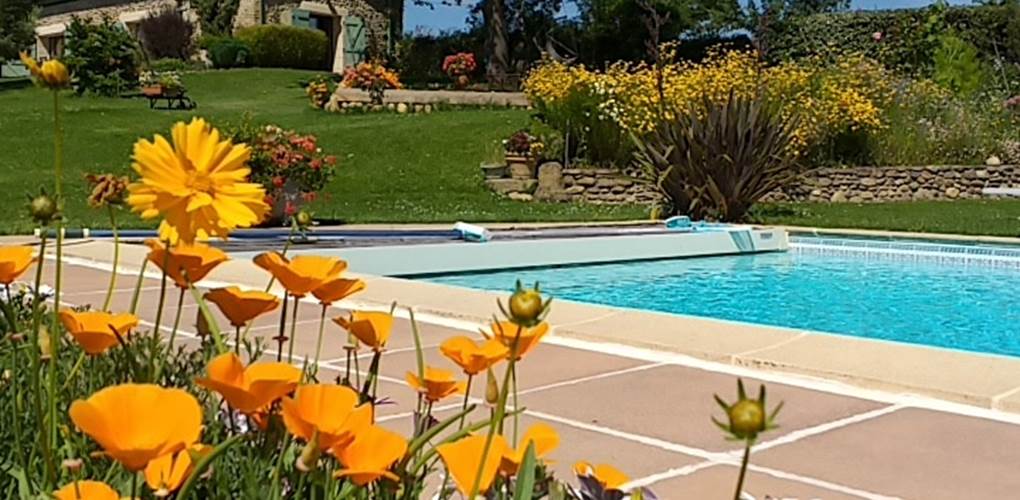 La piscine au milieu des fleurs