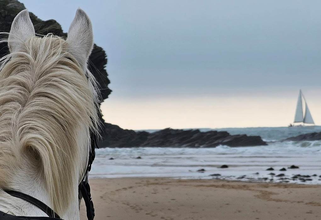 Nous sommes a 5mn de la mer en voiture et 30 mn par les voies verte en vélos