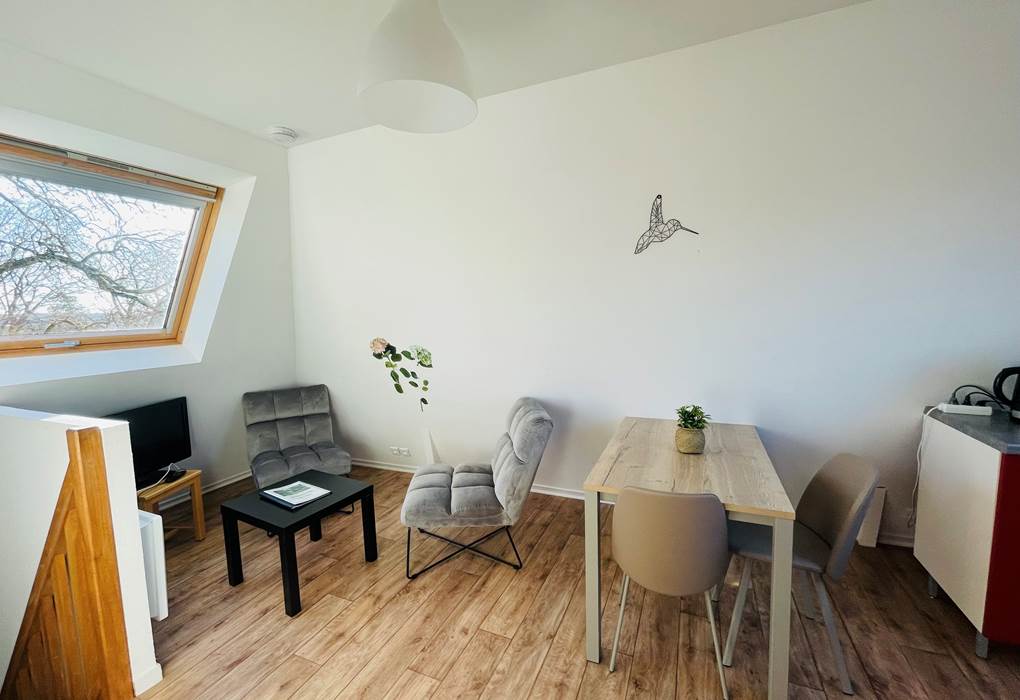 Appartement Hortensia - pièce de vie