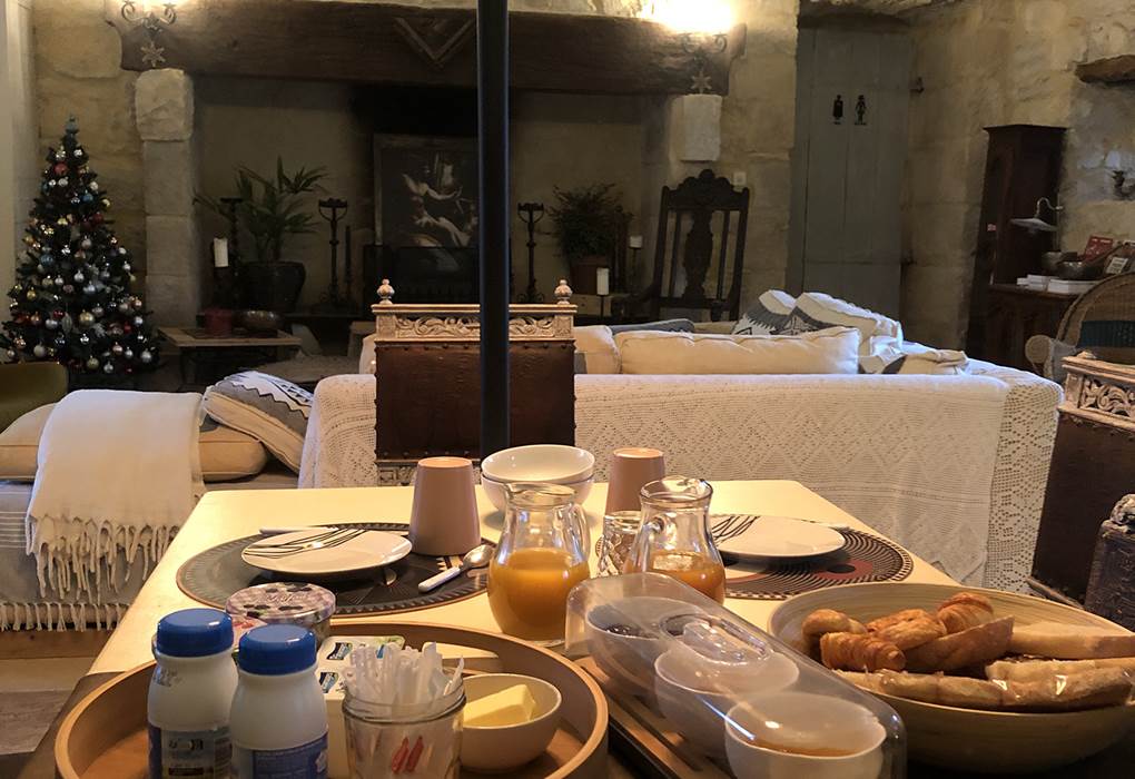 Chateau de Saint Chamarand, séminaire et réception dans le grand salon, petit déjeuner pour un groupe (12)