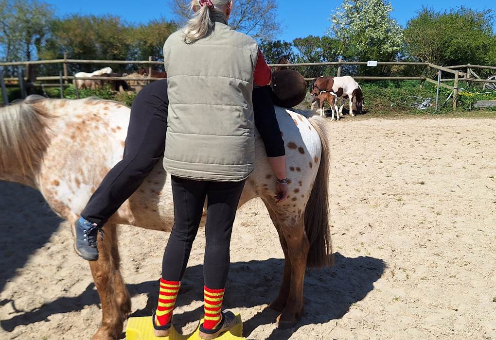 Equinergie Soulager vos douleurs physique, psychologique grâce a nos chevaux avec l'énergie