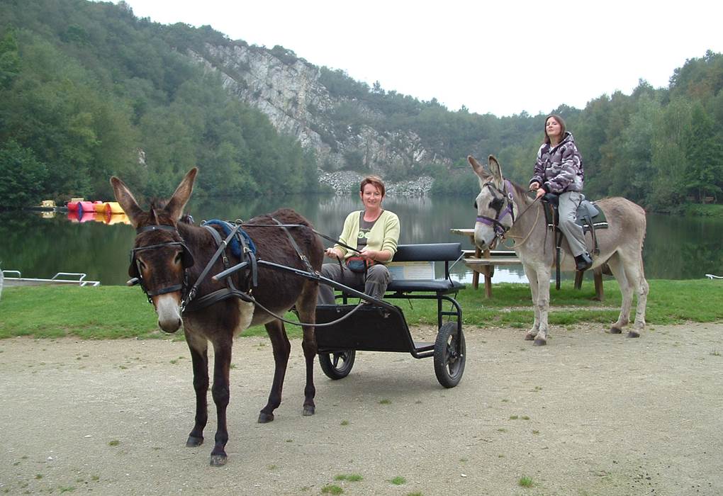 Promenade a velos, en âne attelé ou poney monté visiter cite mégalithique, château gallo romain, église plan d'eau avec barque et pédalos