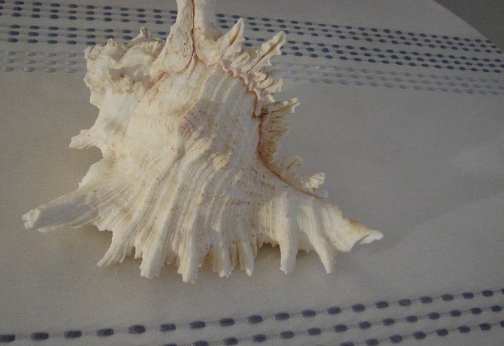 Elément décoratif Chambre double de Luxe Le Pas de l' Âne Saint Ondras