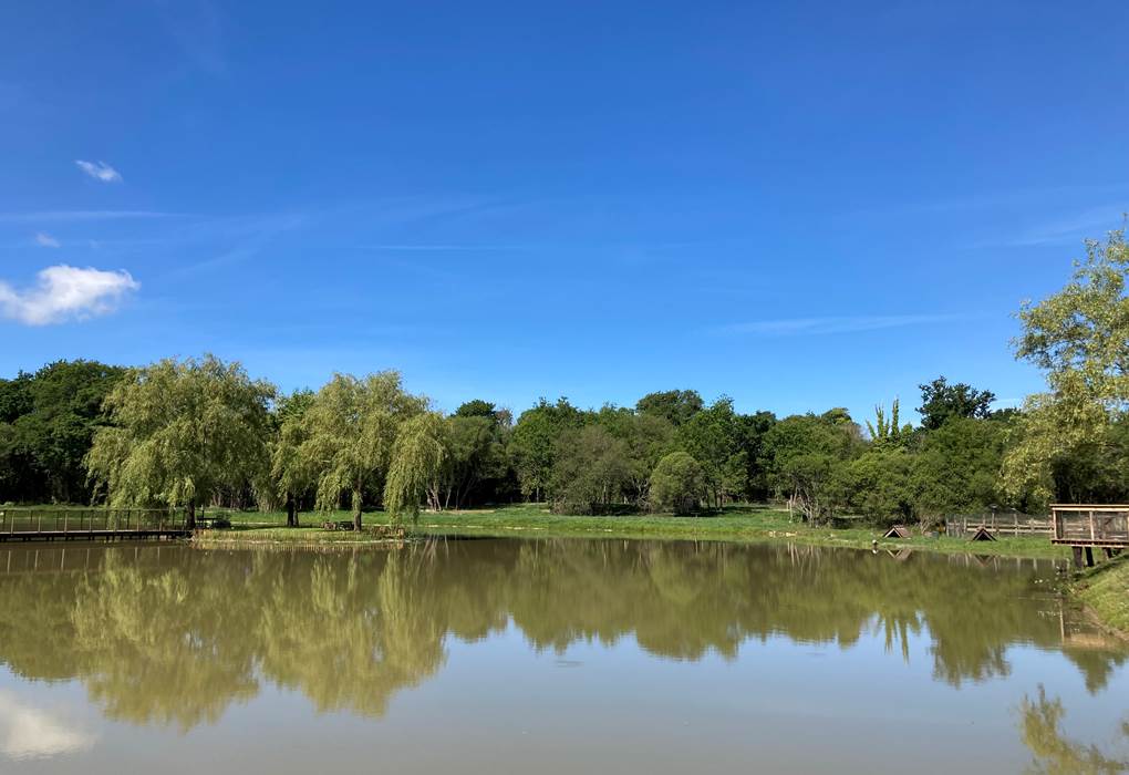 Etang Ecolodge Charles Ashton