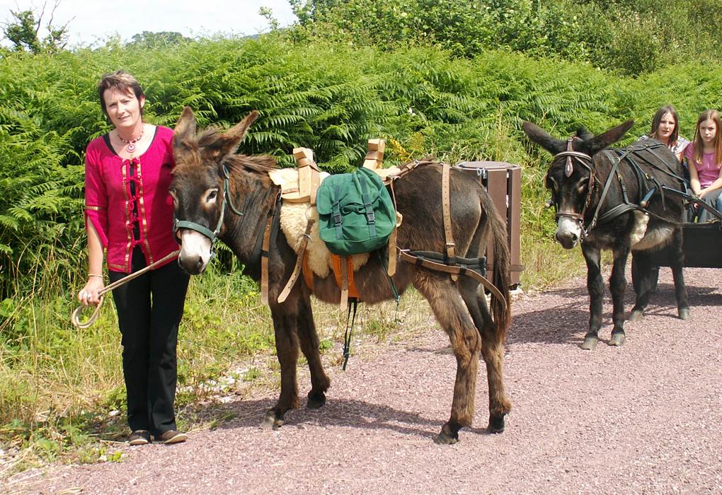 Notre âne bâté portera vos bagages ou votre enfant