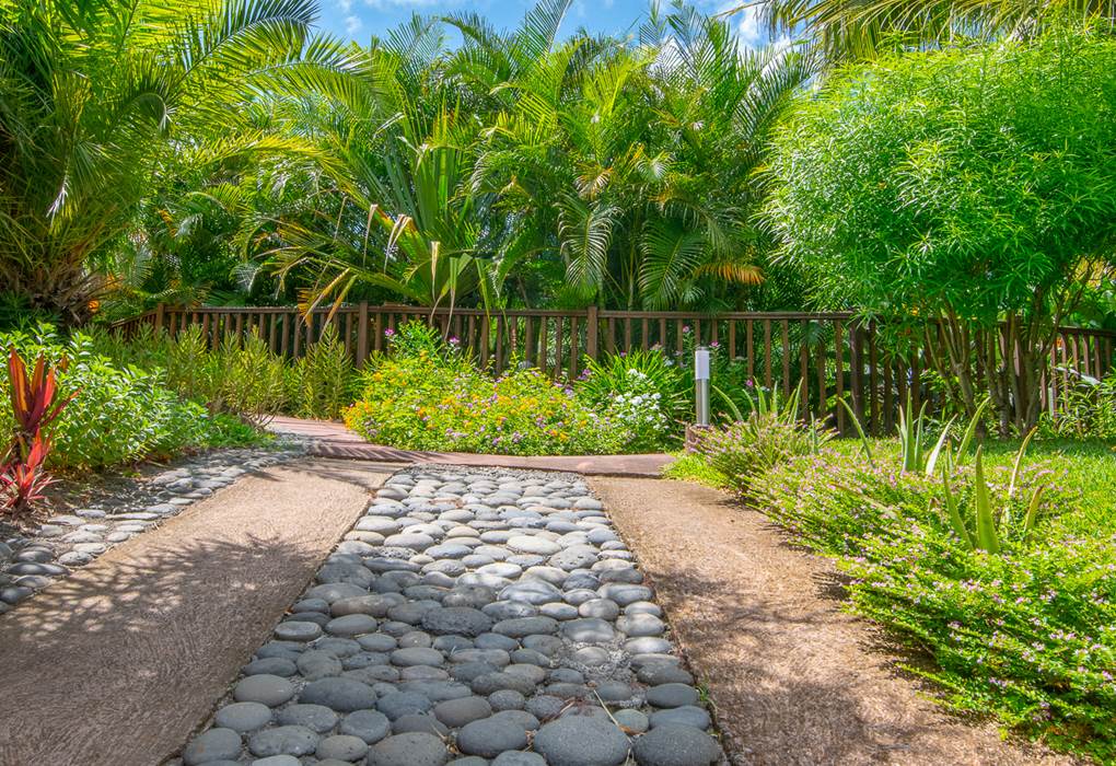 ENTREE DEPUIS LE PARKING