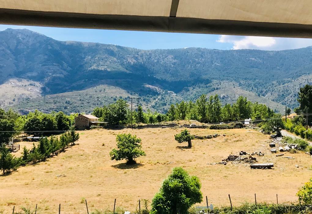 vue depuis la chambre