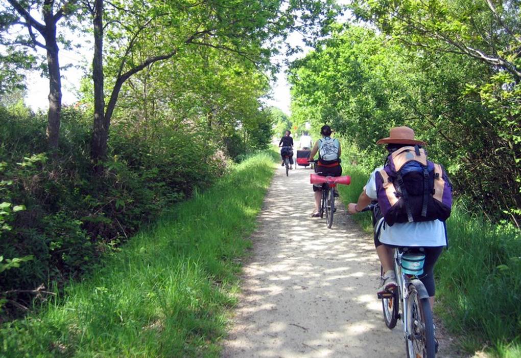 Location de vélos électriques avec remorque, siège enfant
