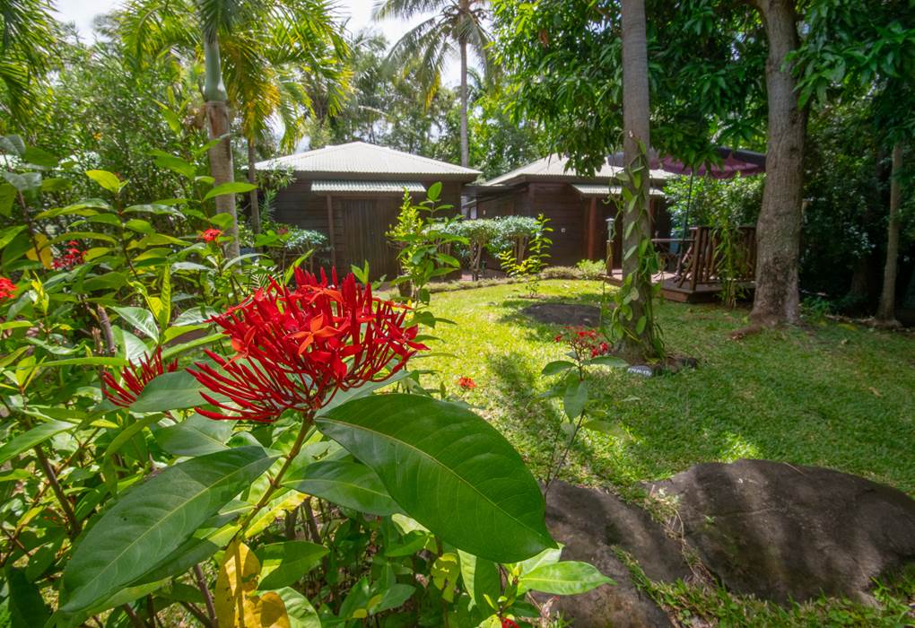 Bungalow Alamanda à droite et Hibiscus dans le jardin