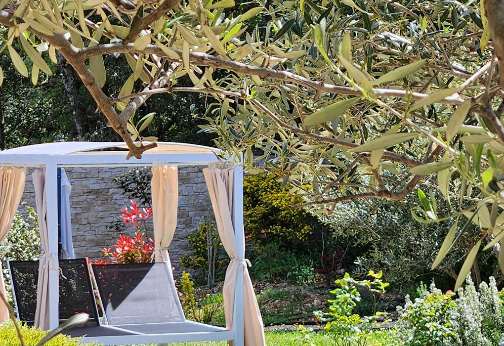 24 lit balinais et oliviers