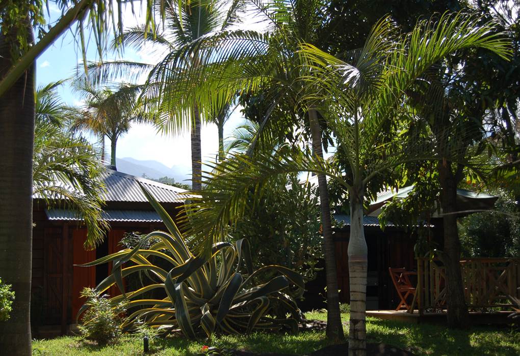 JARDIN ET BUNGALOW