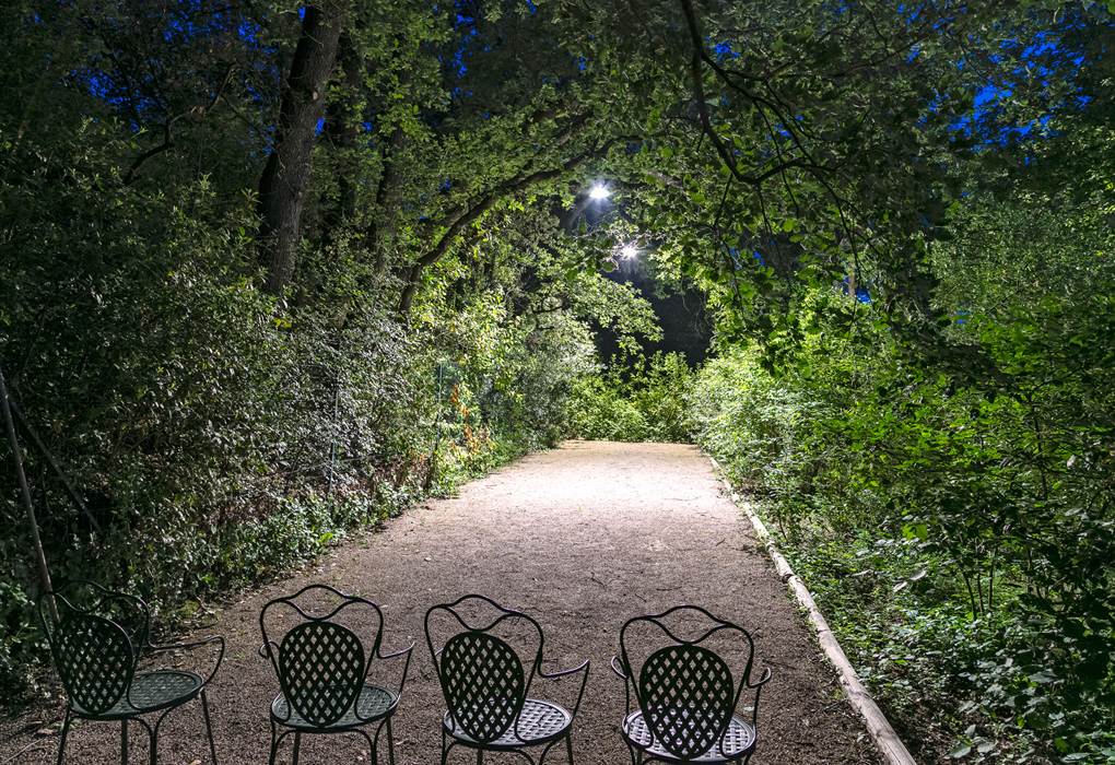 Partie de Boule en Nocturne