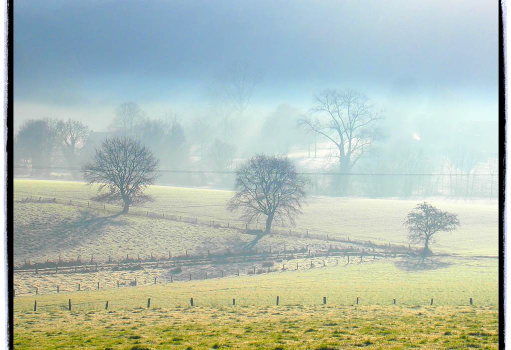 Paysage magnifique et vue campagnarde