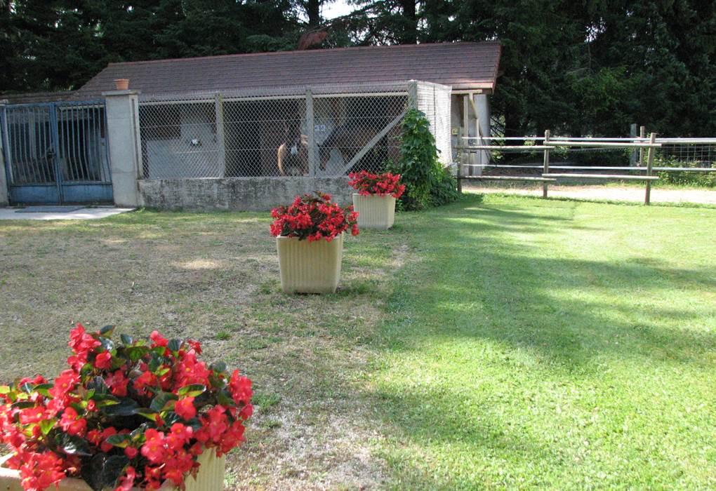 Vue de la Chambre double de Luxe Le Pas de l' Âne Saint Ondras