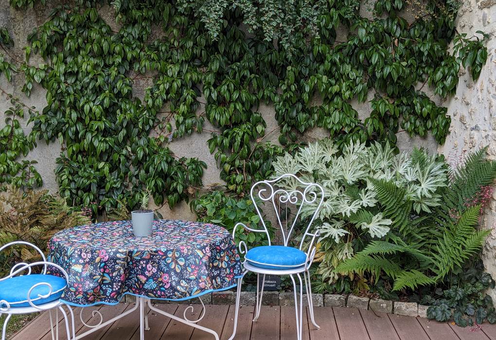 PXL_20230612_144555129.MP